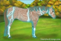 Horse Color:Thunderstruck Chestnut Ice 