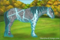 Horse Color:Thunderstruck Black Ice 
