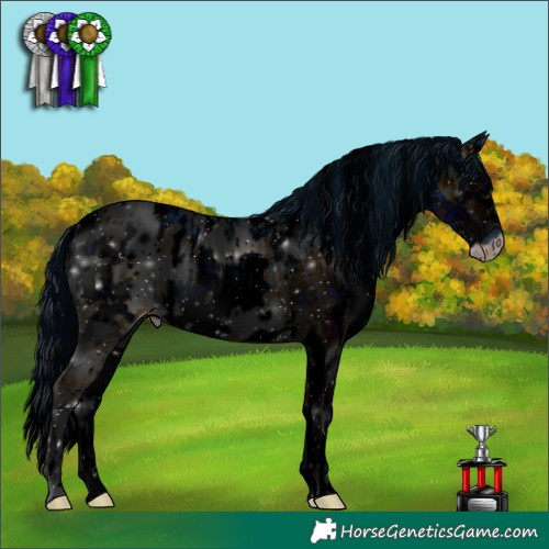 Horse Color:ERROR: UNKNOWN ANOMALY and ERROR: UNKNOWN ANOMALY