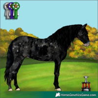 Horse Color:ERROR: UNKNOWN ANOMALY and ERROR: UNKNOWN ANOMALY