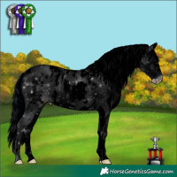 Horse Color:ERROR: UNKNOWN ANOMALY and ERROR: UNKNOWN ANOMALY