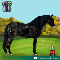 Horse Color:ERROR: UNKNOWN ANOMALY and ERROR: UNKNOWN ANOMALY