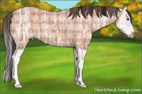 Horse Color:Plaid Bay Ice Splash