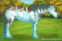 Horse Color:Thunderstruck Red Onyx Frame
