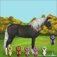 Horse Color:Liver Chestnut Mushroom Varnish 