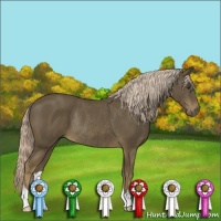 Horse Color:Chocolate Palomino Rabicano