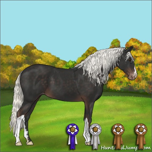 Horse Color:Liver Chestnut Mushroom Varnish