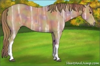 Horse Color:Nacre Chestnut Ice