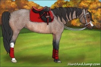 Horse Color:Bay Roan Rabicano 