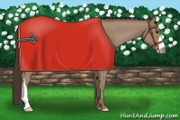 Horse Color:Classic Champagne 