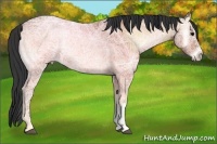 Horse Color:Bay Ice Onyx 