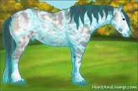 Horse Color:Thunderstruck Blue Onyx Ice Roan Sabino Splash 