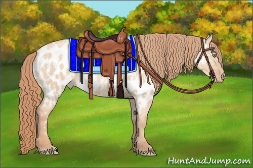Horse Color:Gold Champagne Dun Appaloosa  and Gold Champagne Dun Appaloosa 