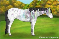 Horse Color:White Spotted Black Ice Appaloosa Rabicano