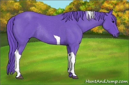 Horse Color:Watercolor Blue Roan Tobiano Rabicano 