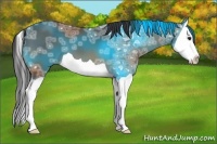 Horse Color:Bay Ice Splash 