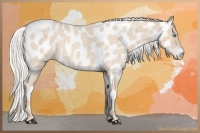 Horse Color:Silver Perlino Roan Near Leopard 