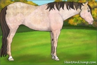 Horse Color:Plaid  Sable Cream Champagne Ice 