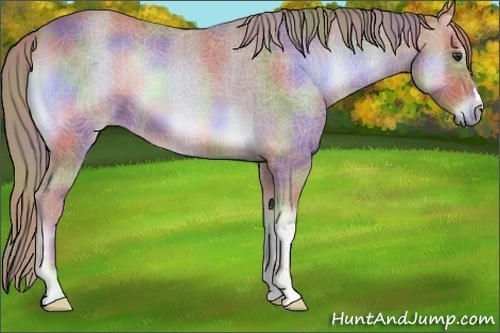 Horse Color:Nacre Watercolor Red Onyx
