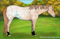 Horse Color:Gold Champagne Ice Roan