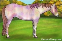 Horse Color:Nacre Red Onyx Roan Rabicano 