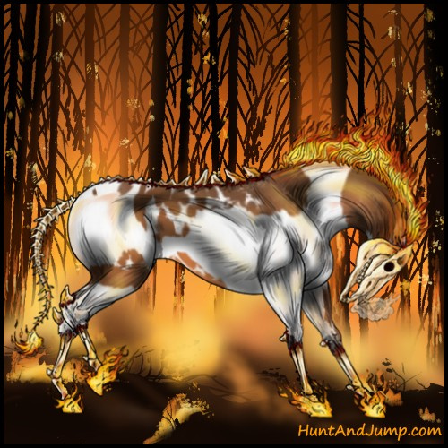 Horse Color:Buckskin Blanket and Gray Buckskin Blanket