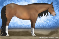 Horse Color:Gray Amber Champagne 