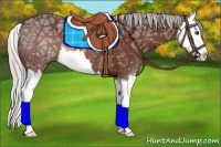 Horse Color:Silver Brown Ice Splash Rabicano