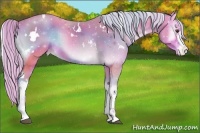 Horse Color:Watercolor White Spotted Silver Brown Onyx Appaloosa