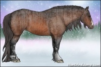 Horse Color:Bay Varnish  and Bay Varnish 