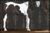 Horse Color:Liver Chestnut Tobiano 