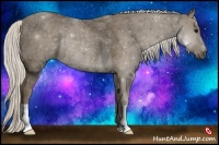 Horse Color:Silver Smoky Black Rabicano