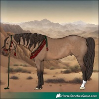 Horse Color:Liver Red Dun