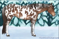 Horse Color:Liver Chestnut Tobiano Near Leopard 
