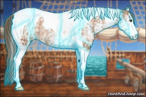 Horse Color:Thunderstruck White Spotted Brown Chinchilla Pearl Tobiano Appaloosa Rabicano 