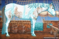 Horse Color:Thunderstruck White Spotted Brown Chinchilla Pearl Tobiano Appaloosa Rabicano 