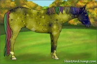 Horse Color:ERROR: UNKNOWN ANOMALY