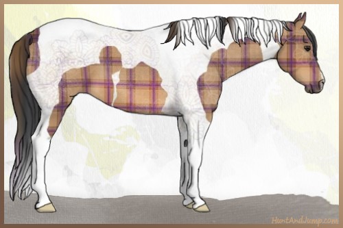 Horse Color:Plaid Bay Tobiano
