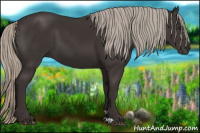 Horse Color:Gray Silver Black 