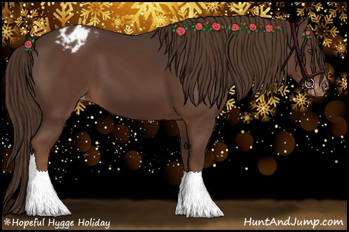 Horse Color:Liver Chestnut Appaloosa 