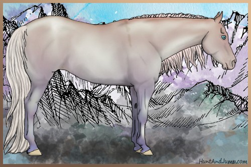 Horse Color:Silver Buckskin Pearl Dun 
