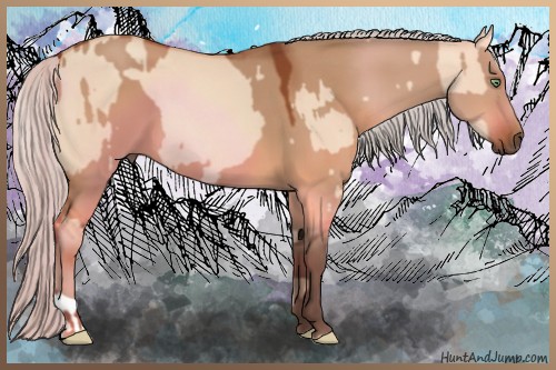 Horse Color:Silver Sable Champagne Dun  and Silver Brown Dun 