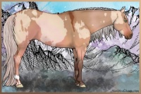 Horse Color:Silver Sable Champagne Dun and Silver Brown Dun