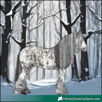 Horse Color:Grullo Sabino Splash  and Grullo Sabino Splash 