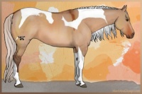 Horse Color:Silver Brown Dun Tobiano 