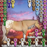 Horse Color:Silver Brown Dun Tobiano Blanket 