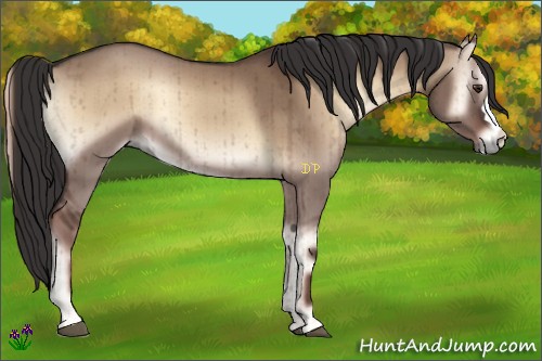 Horse Color:Liver Red Dun Onyx Brindle 