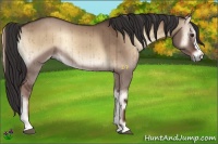 Horse Color:Liver Red Dun Onyx Brindle 