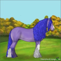 Horse Color:Watercolor Bay 