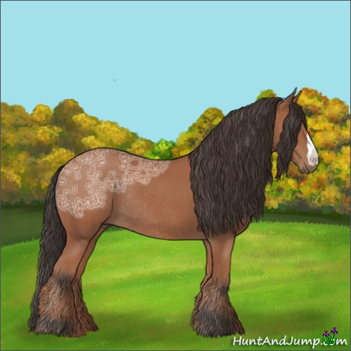 Horse Color:Bay Ice Rabicano 